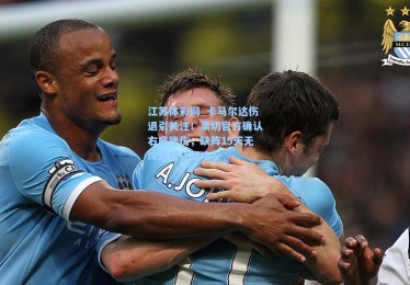 江苏体彩网_卡马尔达伤退引关注！莱切官方确认右肩挫伤，缺阵15天无缘关键战国米