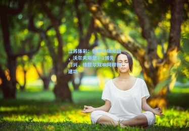 江苏体彩：德甲半场激战，沃尔夫斯堡3-1领先门兴，维默尔双响阿穆拉建功