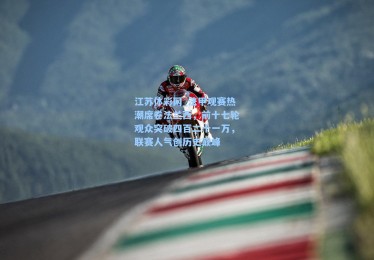 江苏体彩网_法甲观赛热潮席卷法兰西，前十七轮观众突破四百二十一万，联赛人气创历史巅峰