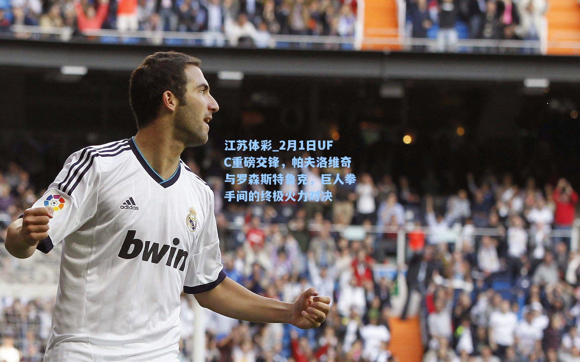 2月1日UFC重磅交锋，帕夫洛维奇与罗森斯特鲁克，巨人拳手间的终极火力对决